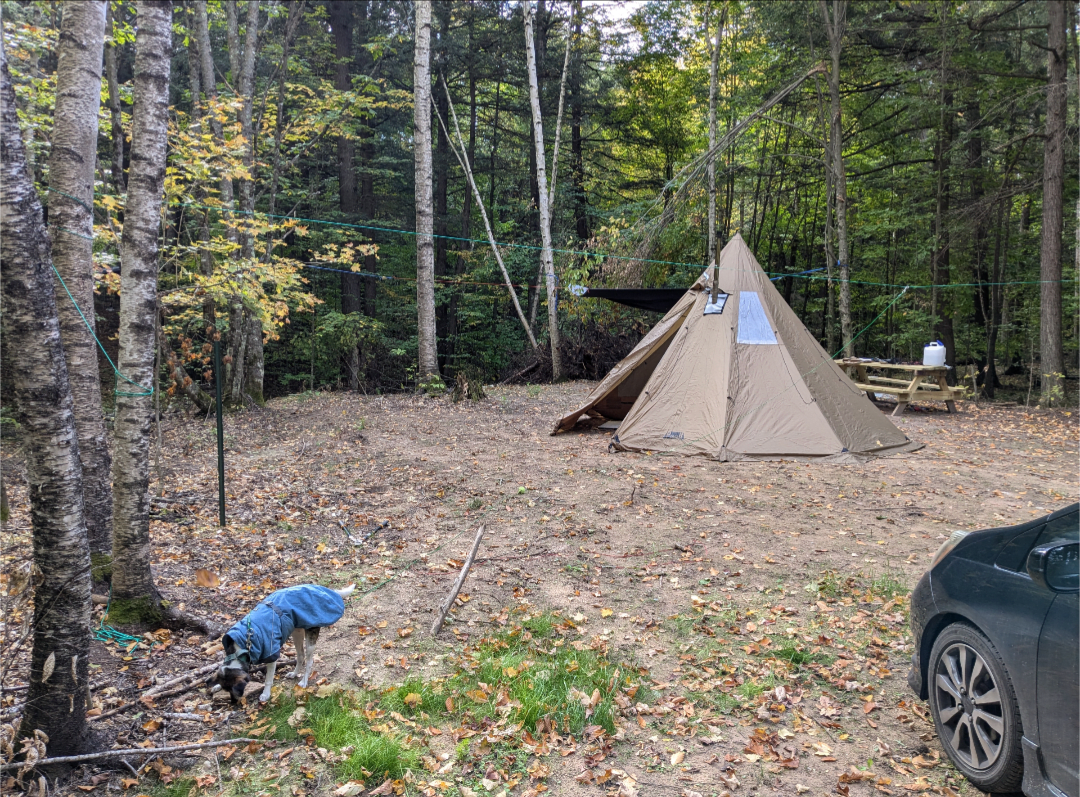 A teepee-style tent and a dog at the Northwoods campsite in fall