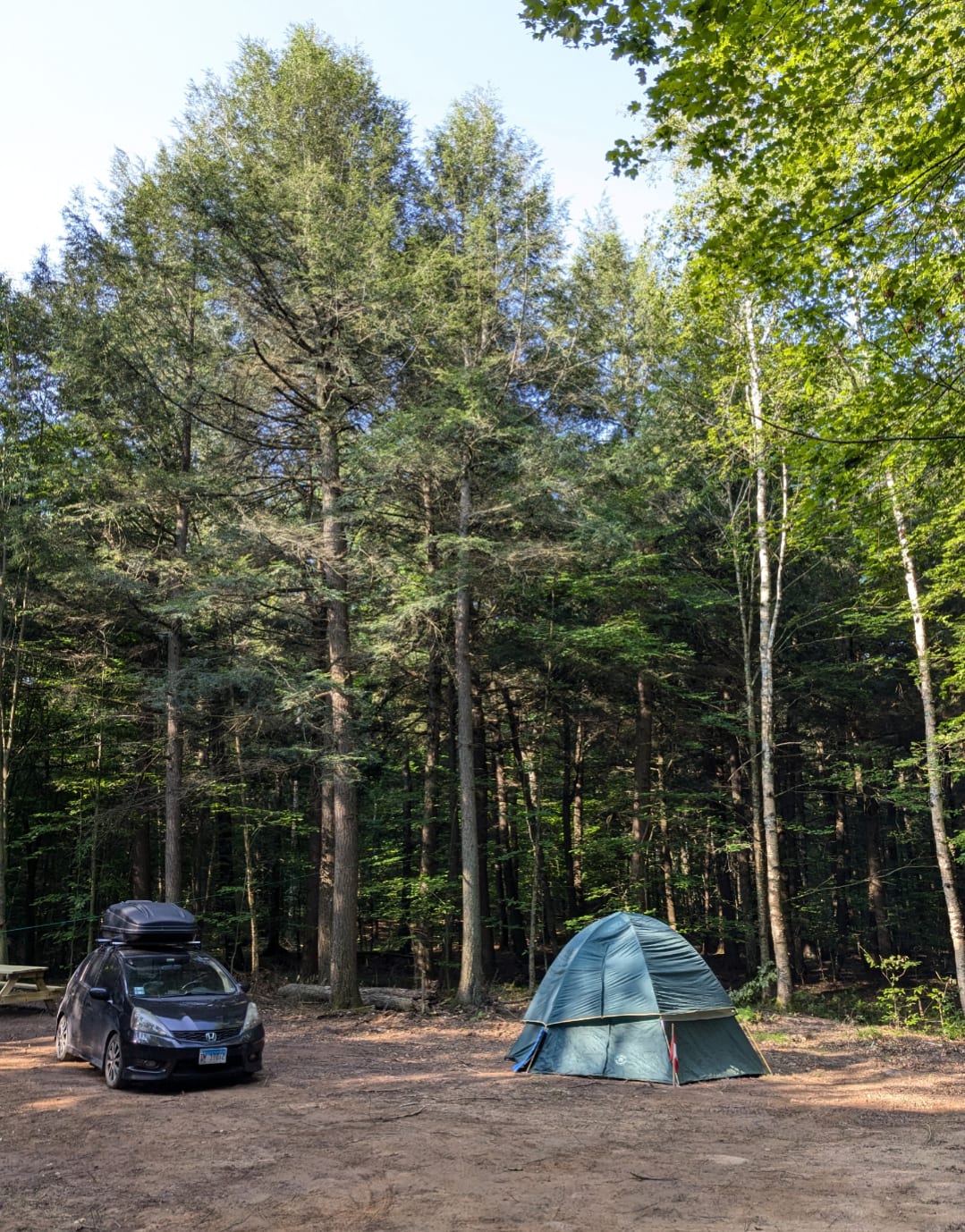 A dome tent and car on flat ground in the campsite clearing