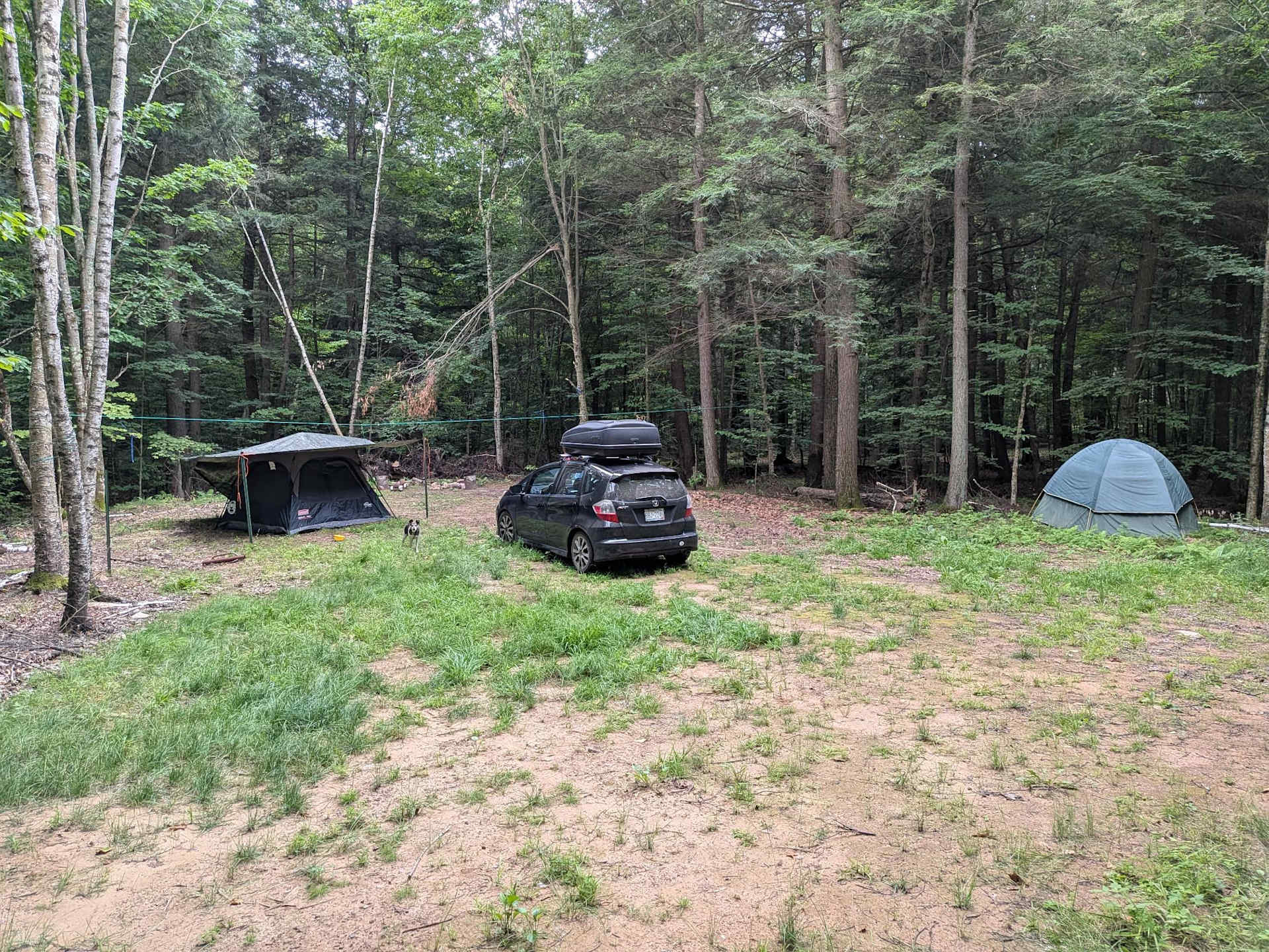 Tents and a car at the wooded tent-only campsite in Marinette County