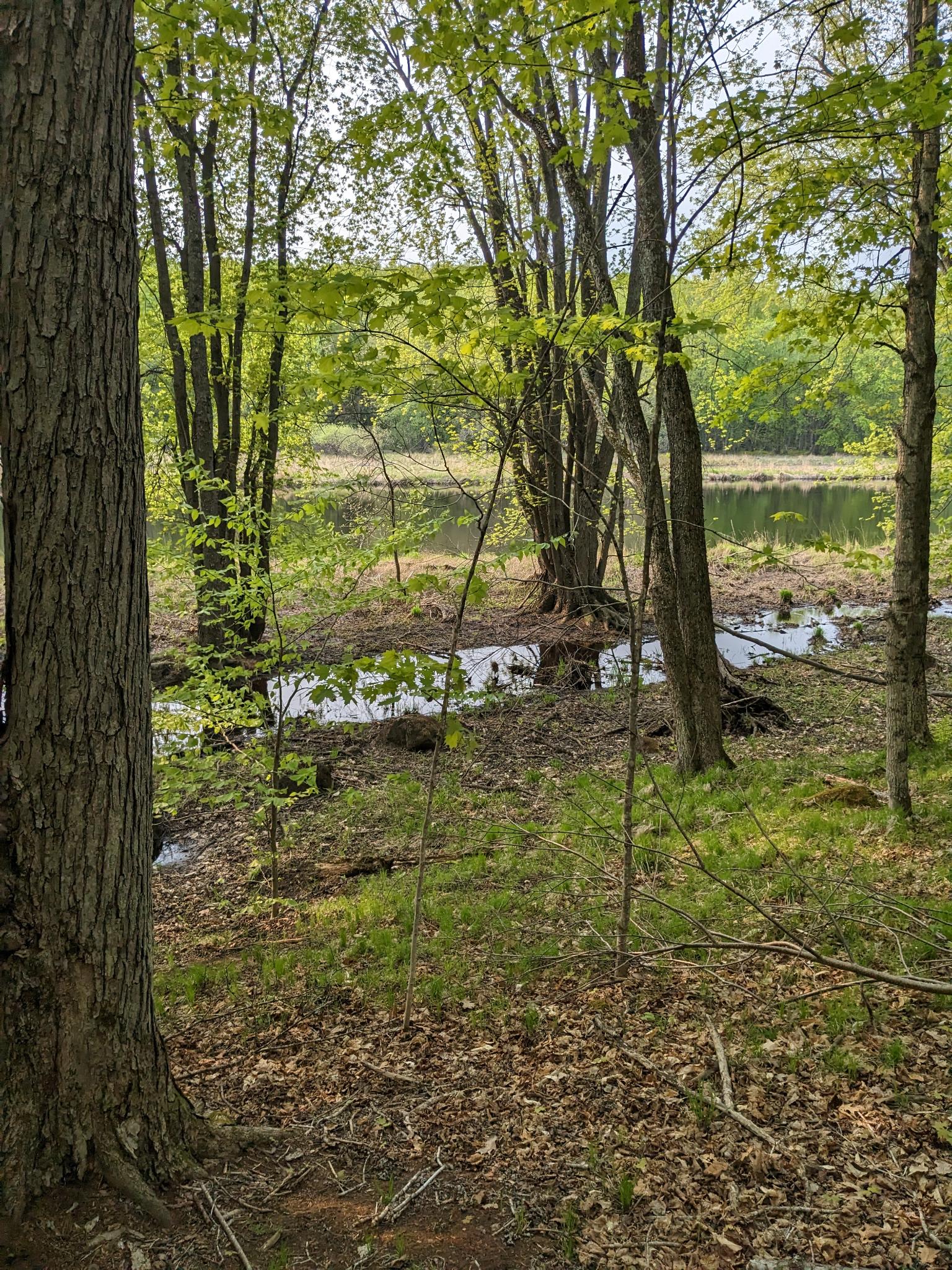 The Peshtigo River seen through spring trees from the camp trail
