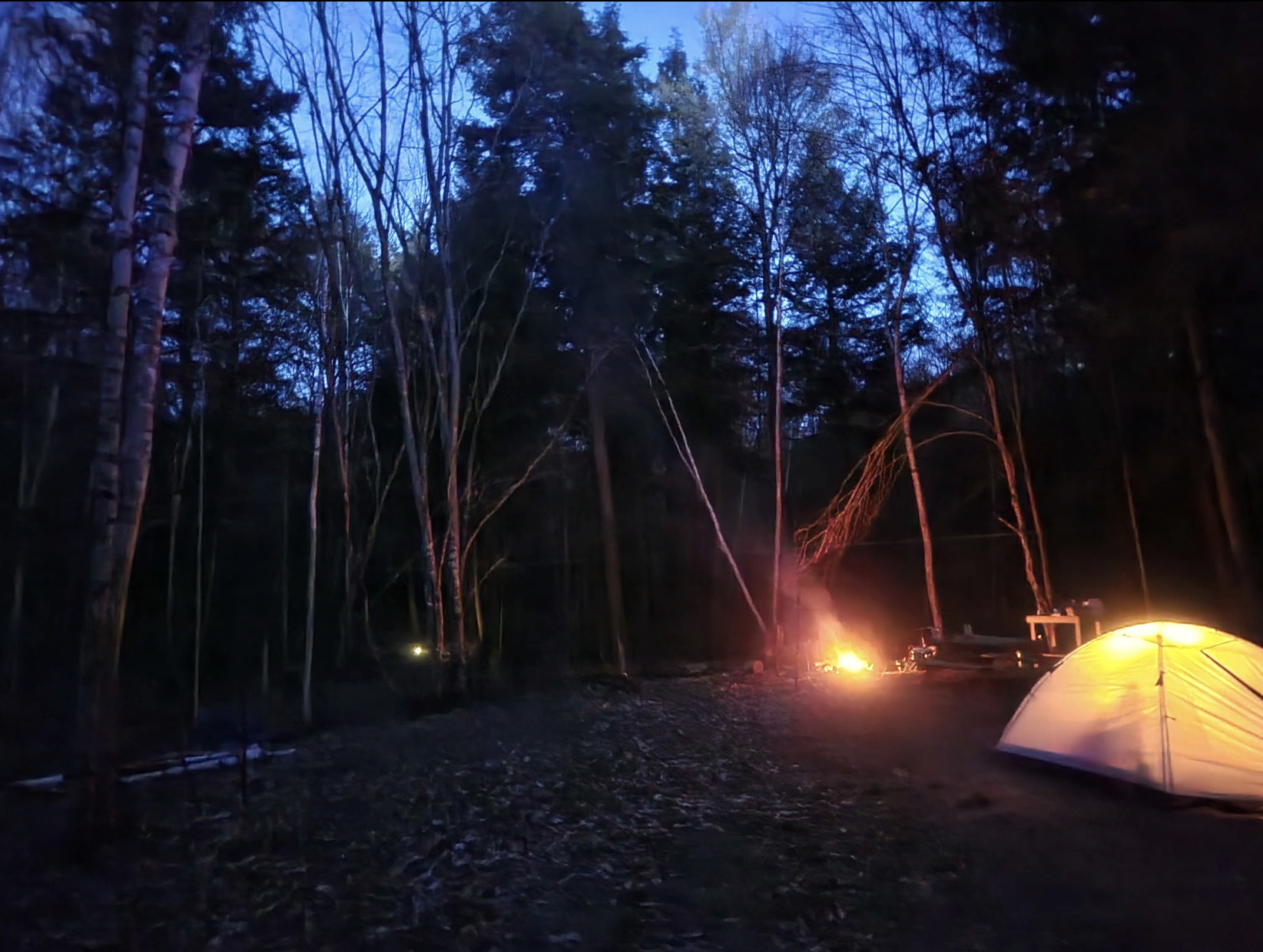 Campfire and glowing tent under the trees at dusk