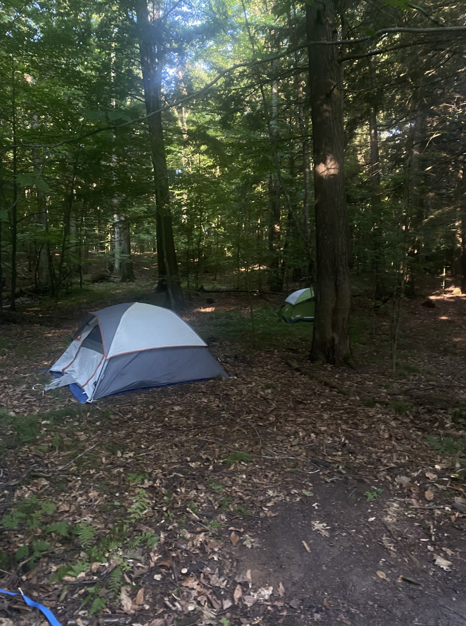Two dome tents pitched in the shaded summer woods